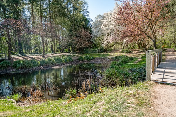 Medium property photo - Vondellaan 43, 6901 MB Zevenaar